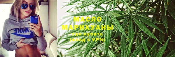 сатива Пестово