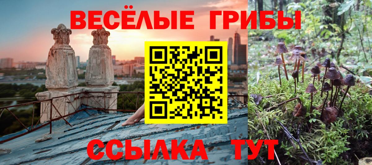 Галлюциногенные грибы Cubensis Пыть-Ях